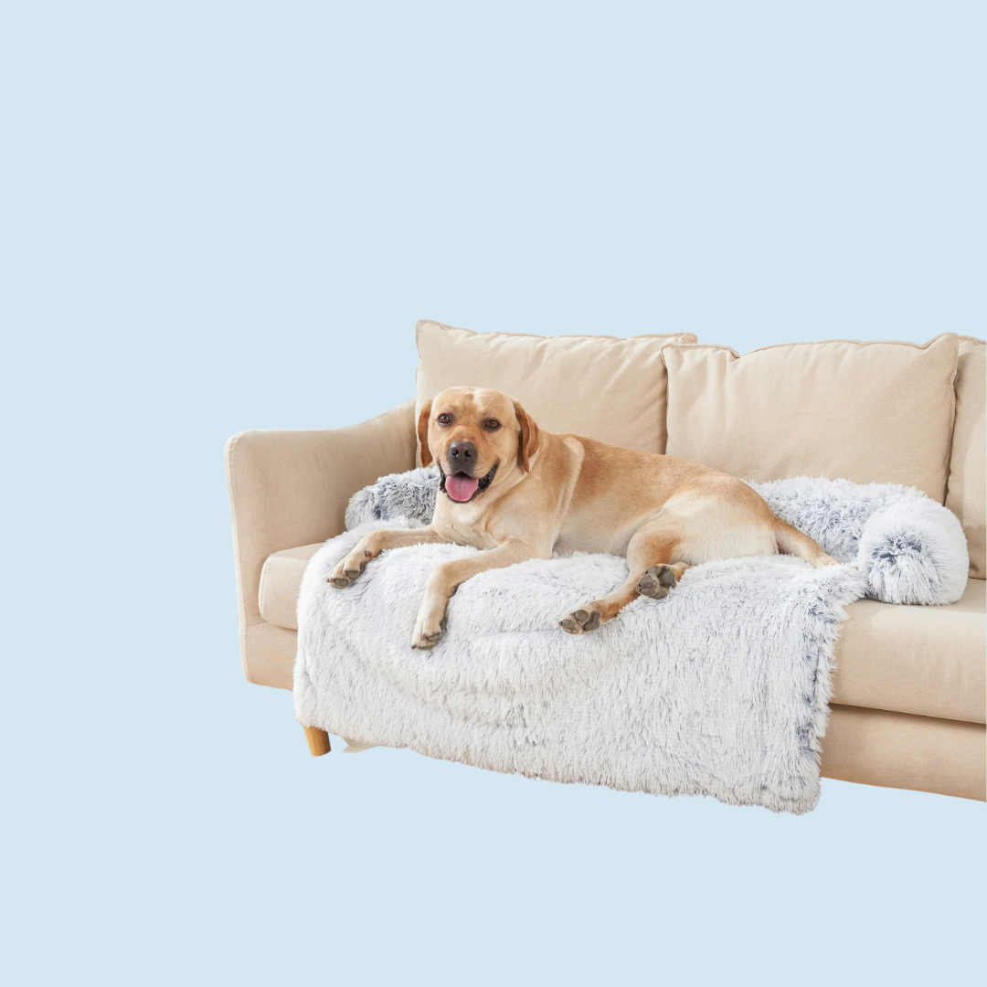 Calming Dog Bed Sofa — Washable Plush Nest for Large Dogs & Cats