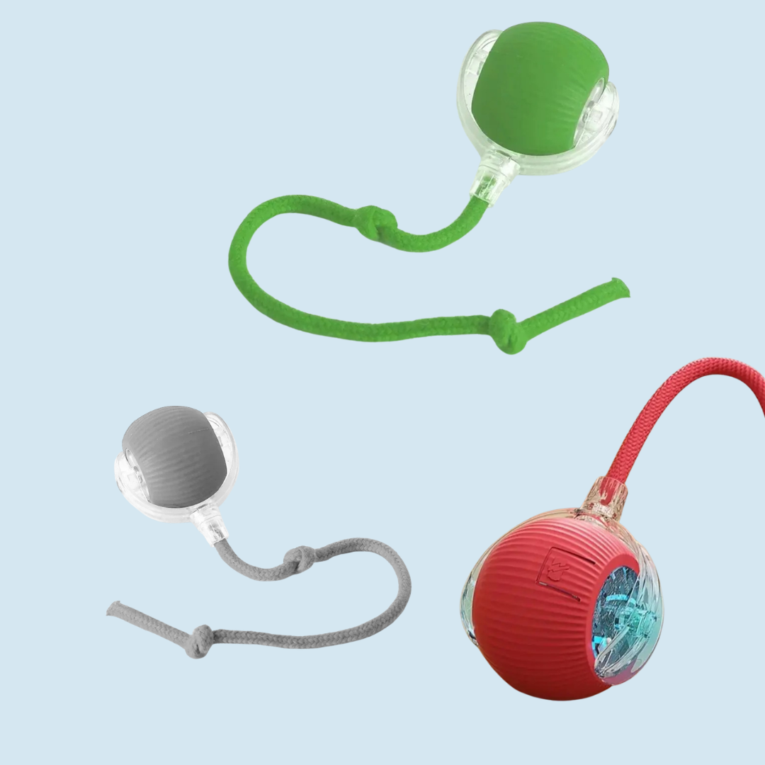 Auto Rolling Cat Toy Ball — Rechargeable with Faux Tail, USB Charging