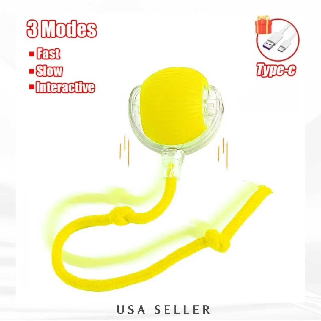 Auto Rolling Cat Toy Ball — Rechargeable with Faux Tail, USB Charging