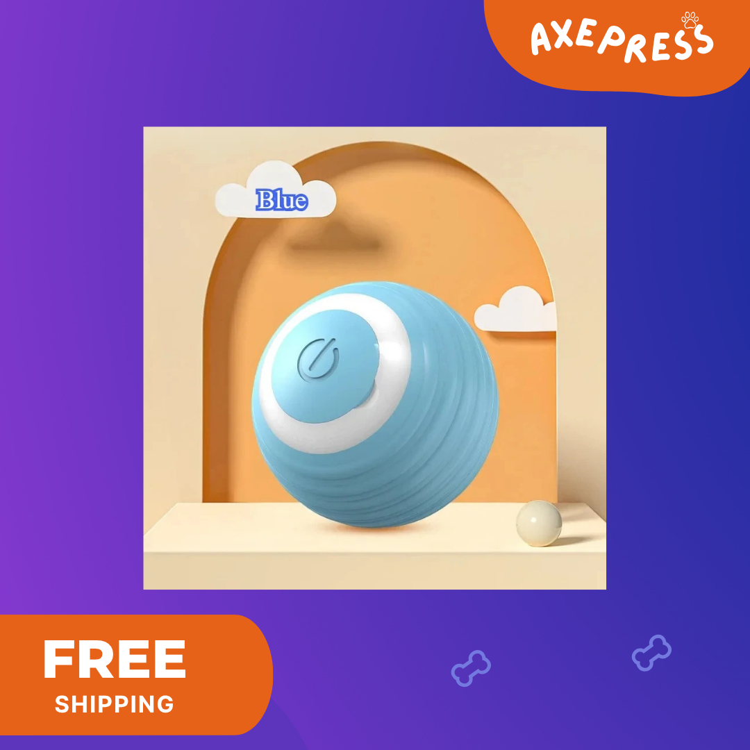 Auto Rolling Cat Toy Ball — Rechargeable with Faux Tail, USB Charging