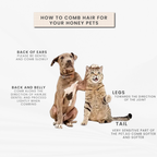 Self-Cleaning Pet Grooming Brush — Removes Shed Fur for Dogs & Cats