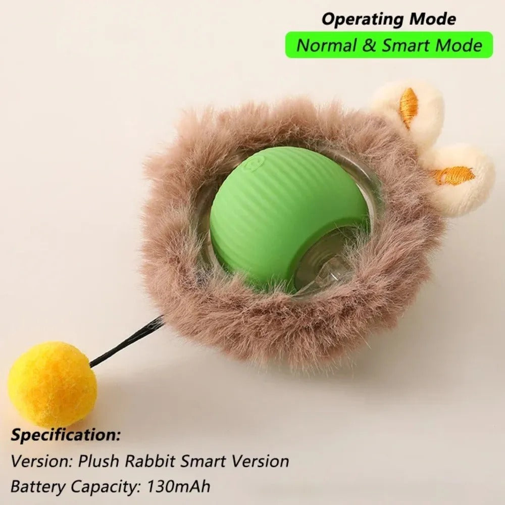 Auto Rolling Cat Toy Ball — Rechargeable with Faux Tail, USB Charging
