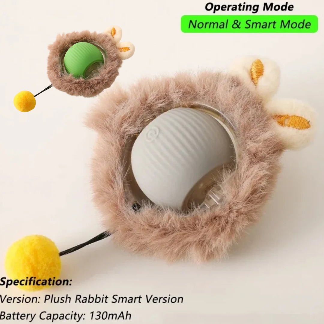 Auto Rolling Cat Toy Ball — Rechargeable with Faux Tail, USB Charging