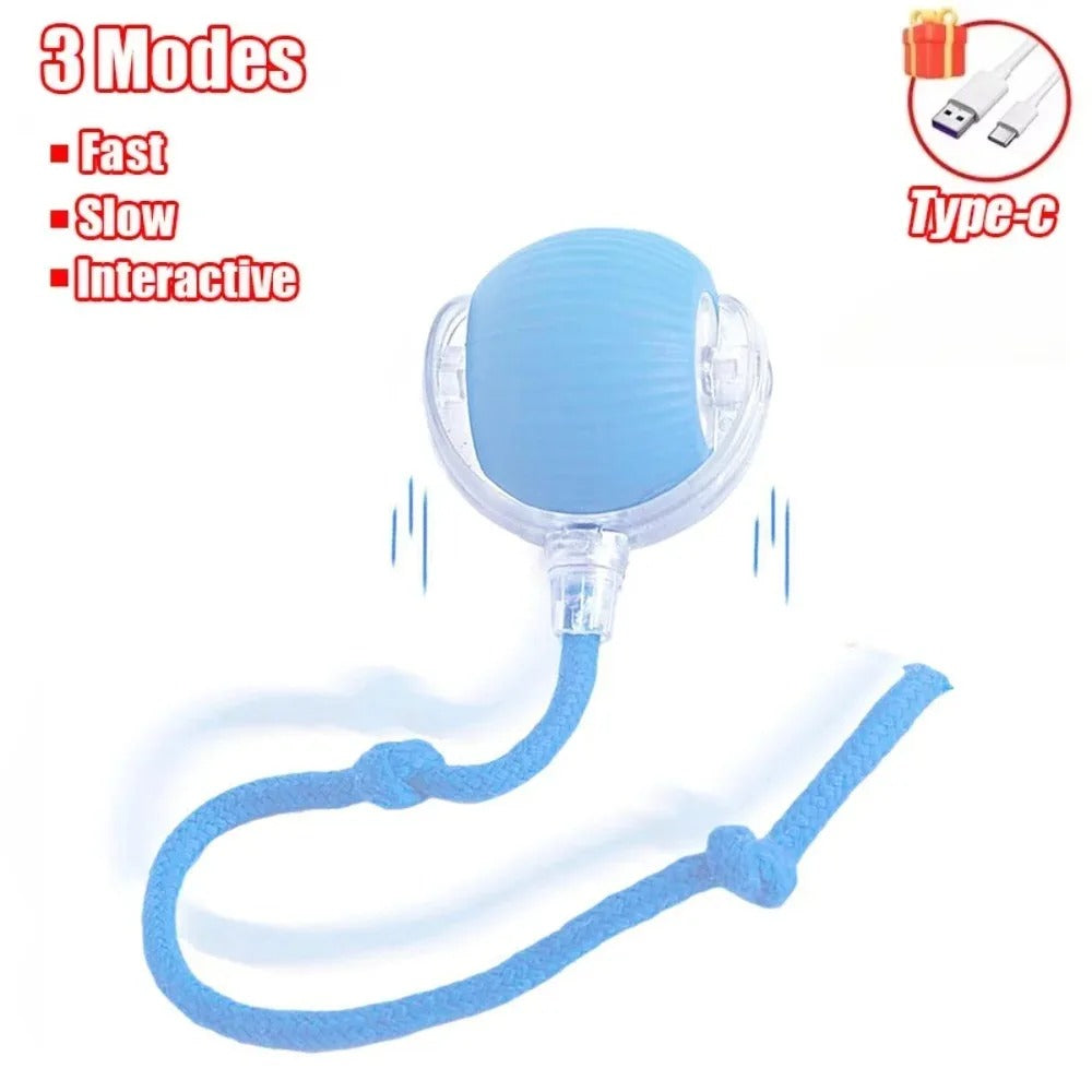 Auto Rolling Cat Toy Ball — Rechargeable with Faux Tail, USB Charging